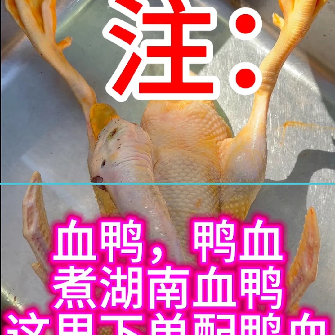 配鸭血，真真正正山泉水土鸭子，土麻鸭之乡宁远县本村发货（鸭全套）