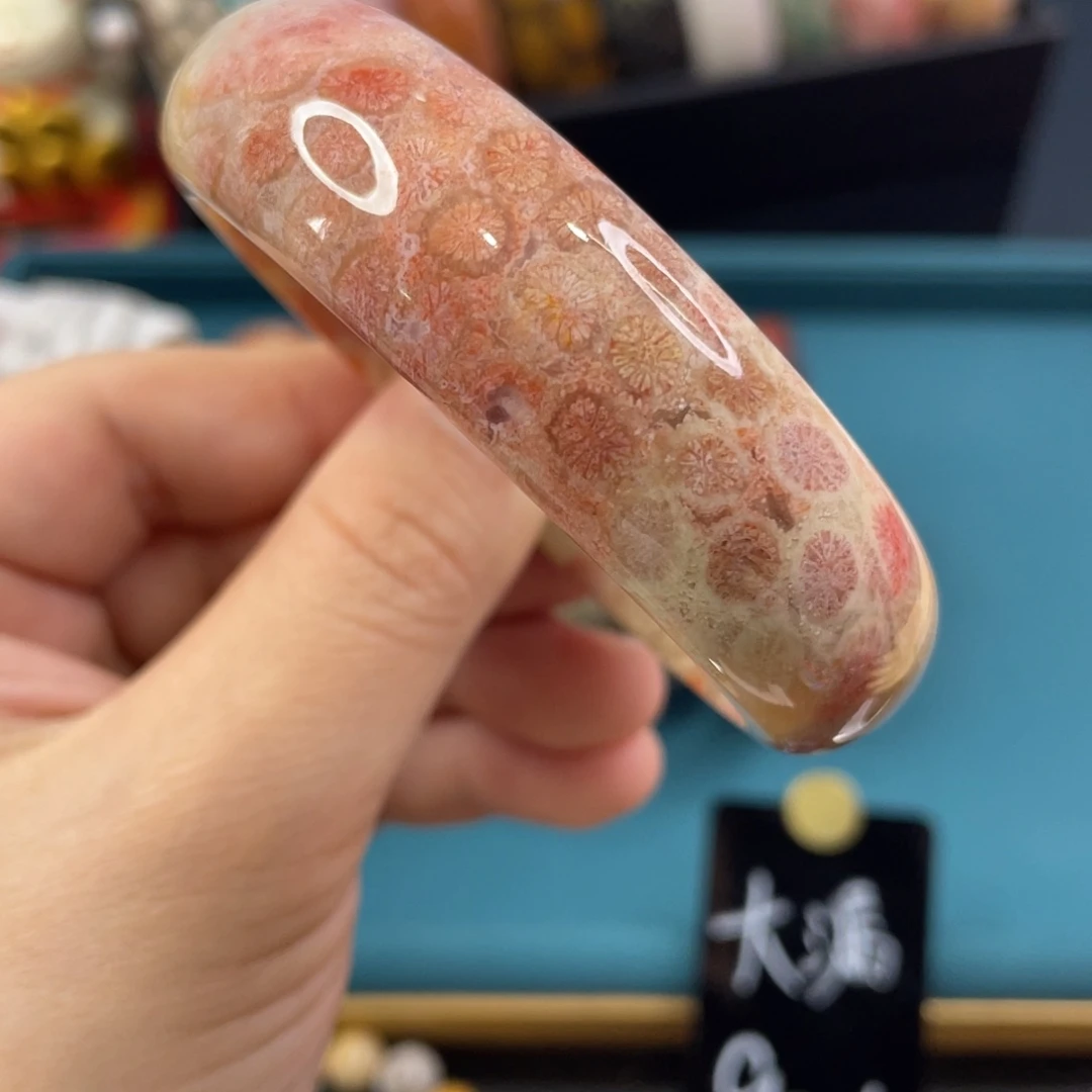 未镶嵌手镯硅化玉