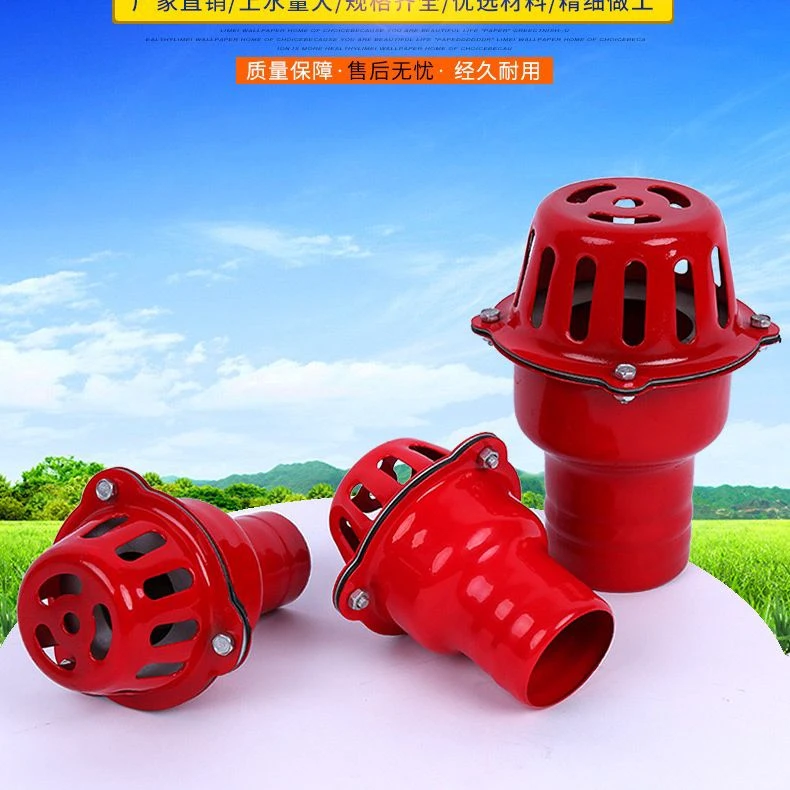 红笼头自吸水泵底阀/止回阀1寸/1.2/1.5/2/2.5/3/4寸铁底阀莲蓬头