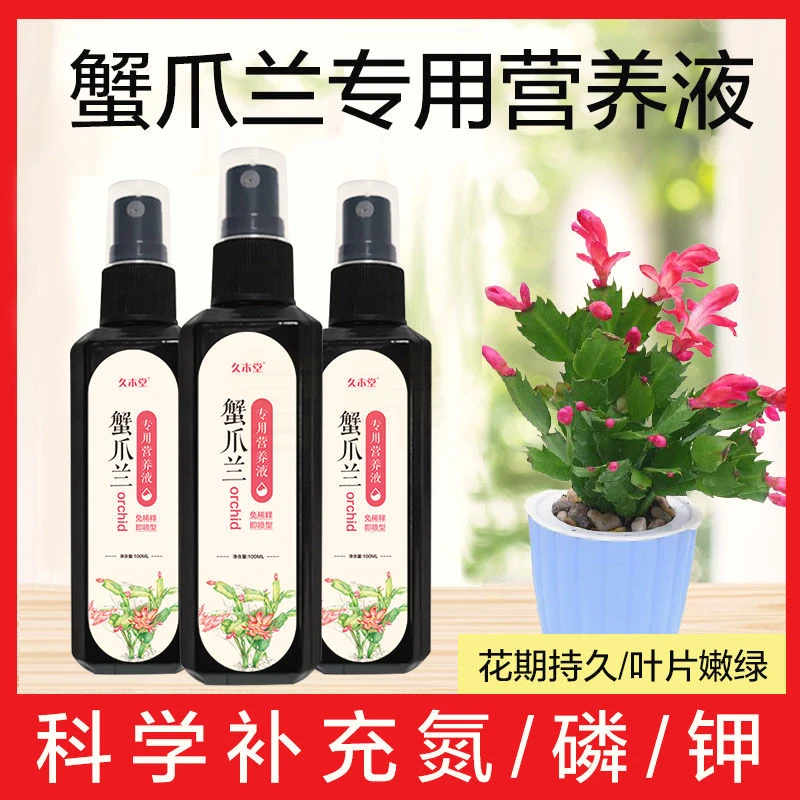 蟹爪兰专用营养液急救室内家用去黄叶开花壮根液体肥盆栽营养液