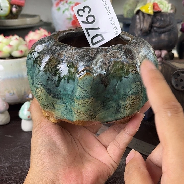 重庆小燕子欢迎大家763