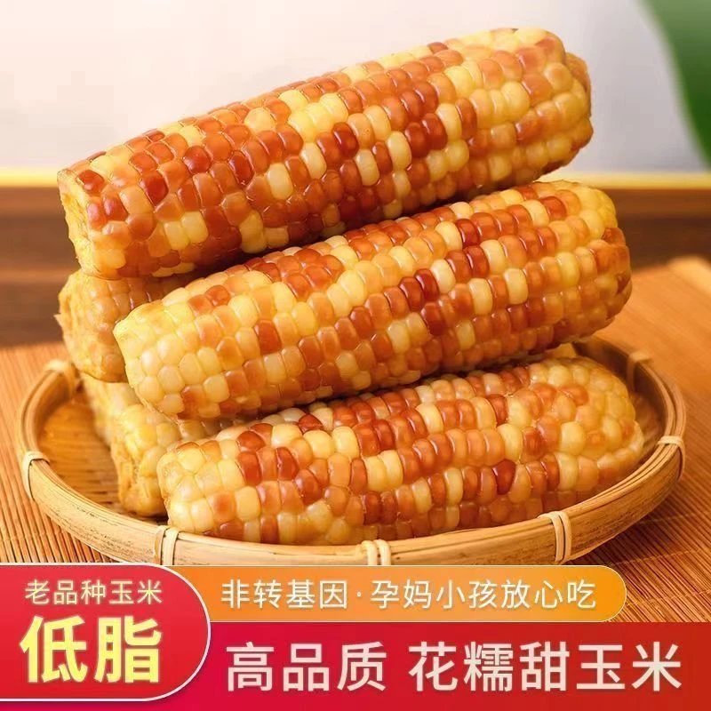【试吃4根】整箱12根25年头茬新鲜花玉米带箱5斤真空花玉米粗粮代餐