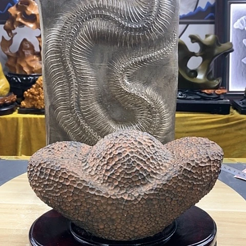 石材福利特价机票的