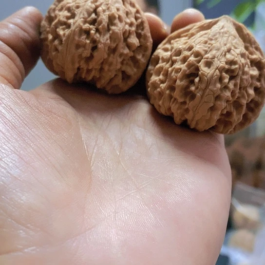 【闪购商品】把件文玩核桃44虎头王