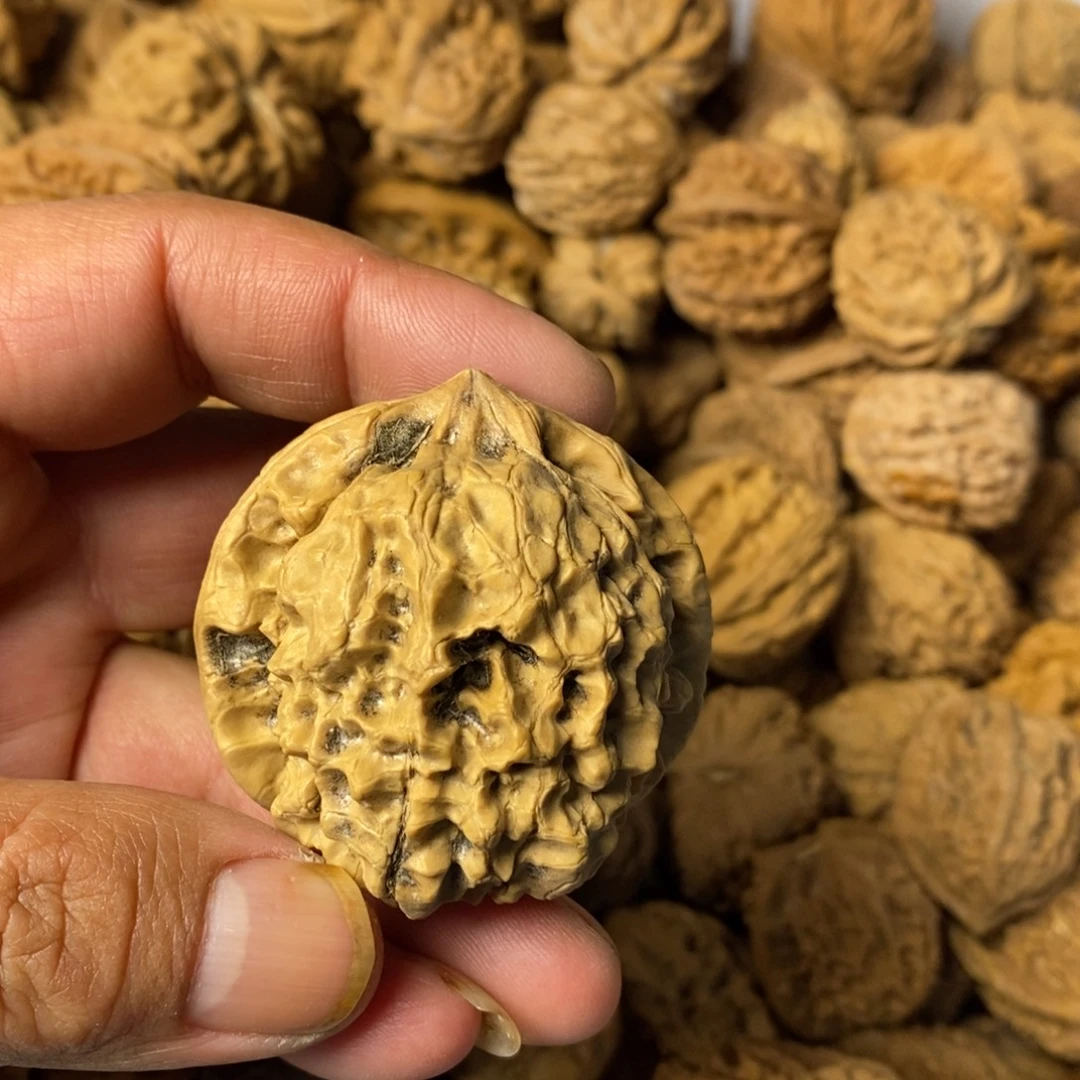 请***胡大叶紫檀（黑酸枝木类）