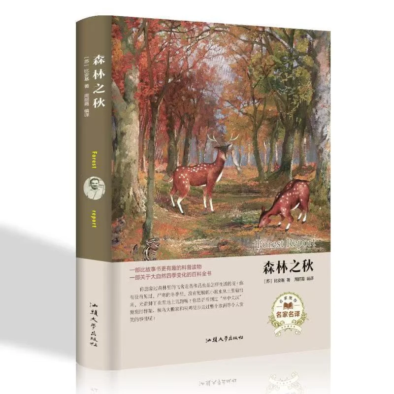 经典名著 森林之秋 硬壳精装青少年课外读物外国文学世界经典文学