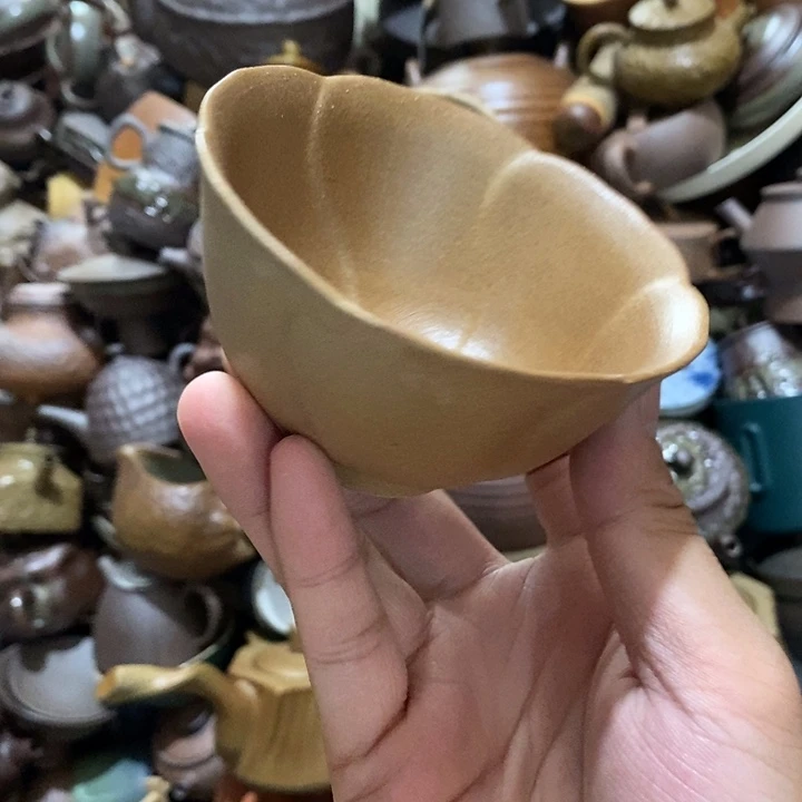 瓷片然后又要来公司考察