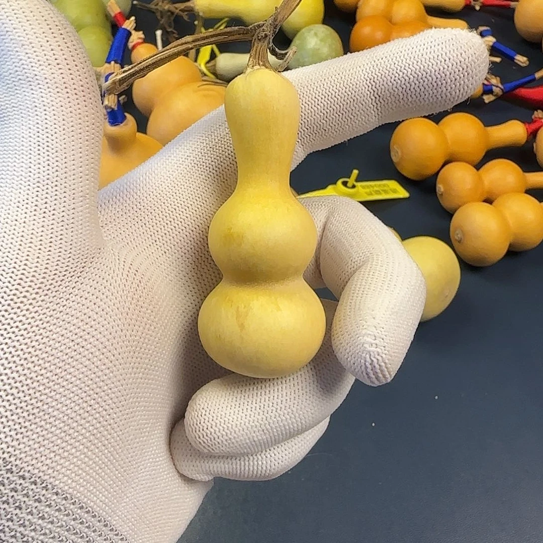 逆***3葫芦666666666666666