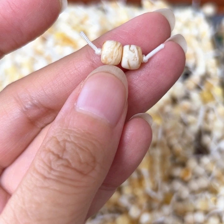 裸石蜜蜡未镶嵌6mm一对