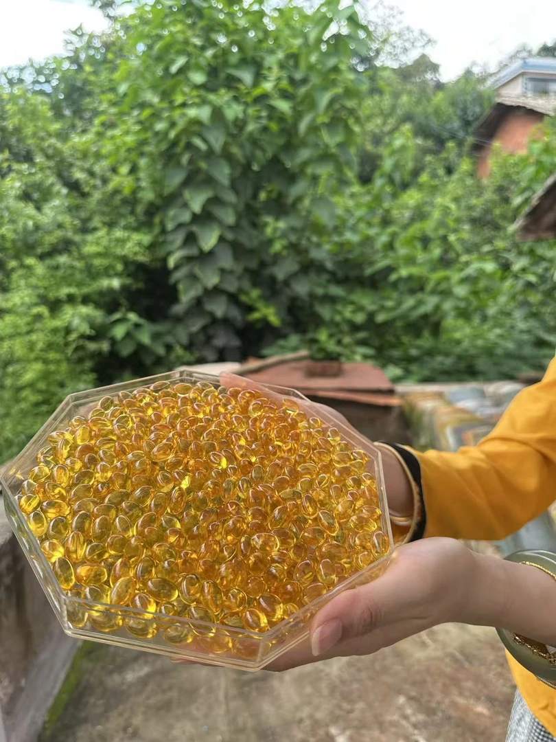 【1小楠 松针油】高端山货净含量120颗起