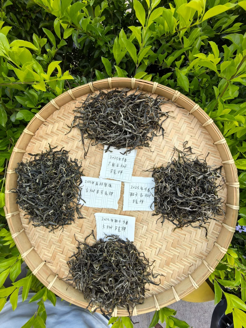 2025年那卡.广别.森林密境古树.那卡大树生普各16克