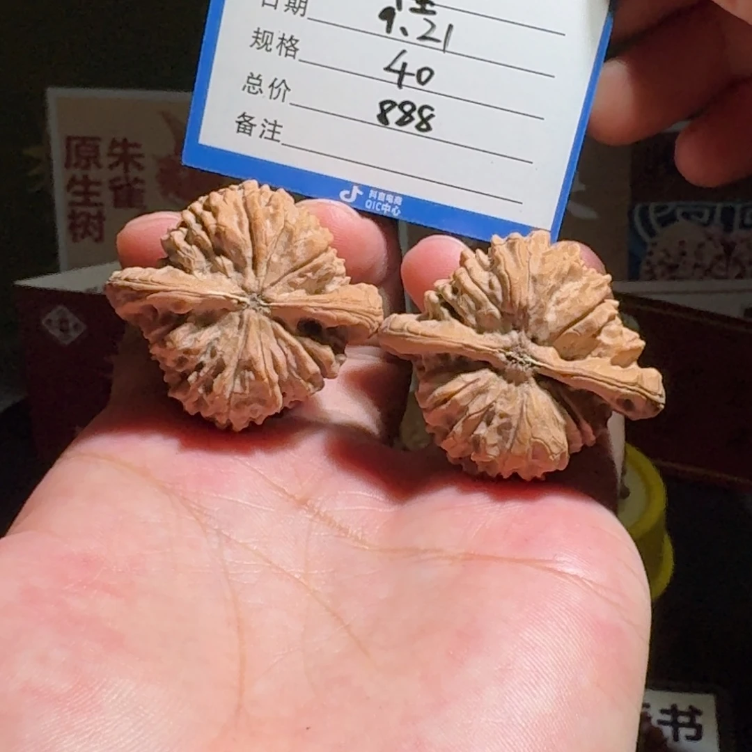 吃***糖原树朱雀编号120全品