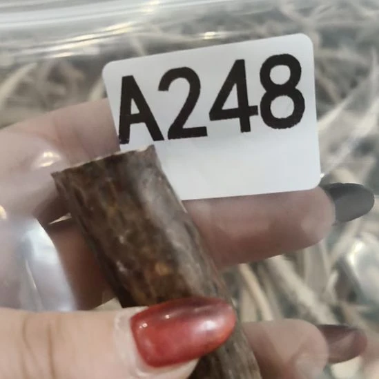 喵***鹿角鹿角鹿角鹿角鹿角