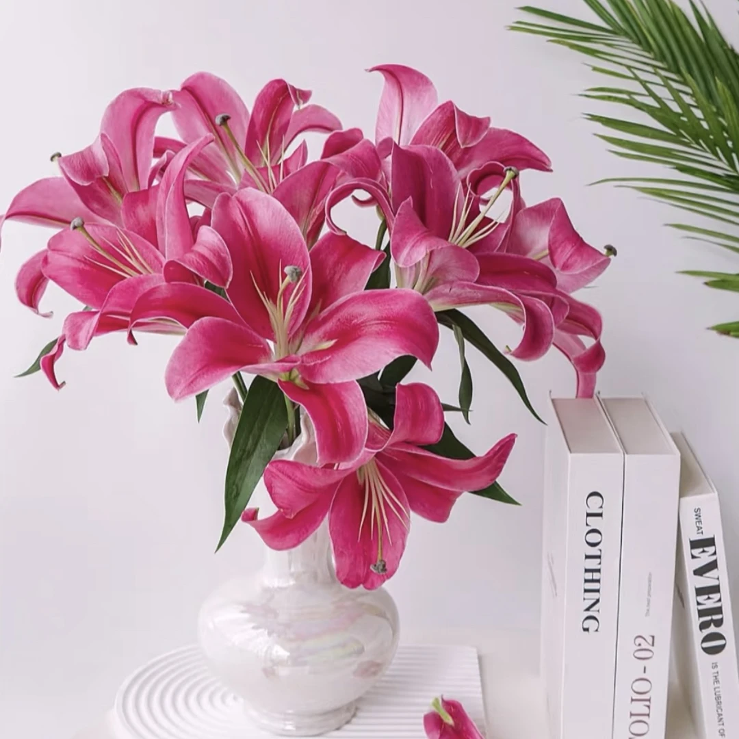 【中国红】18/20百合种球盆栽地栽 开花对版