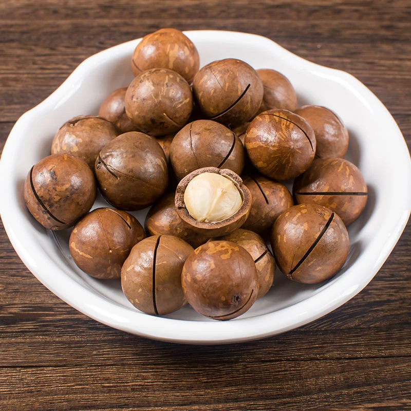 【三单五单囤】大颗粒奶油味夏威夷果开口新鲜坚果