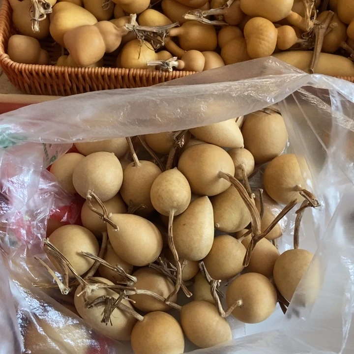 谷***子谷子谷子谷子谷子