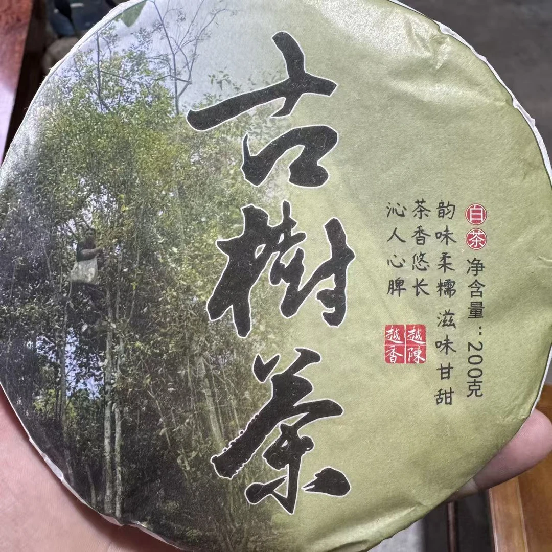 古树白 云南大叶种 白茶 200克
