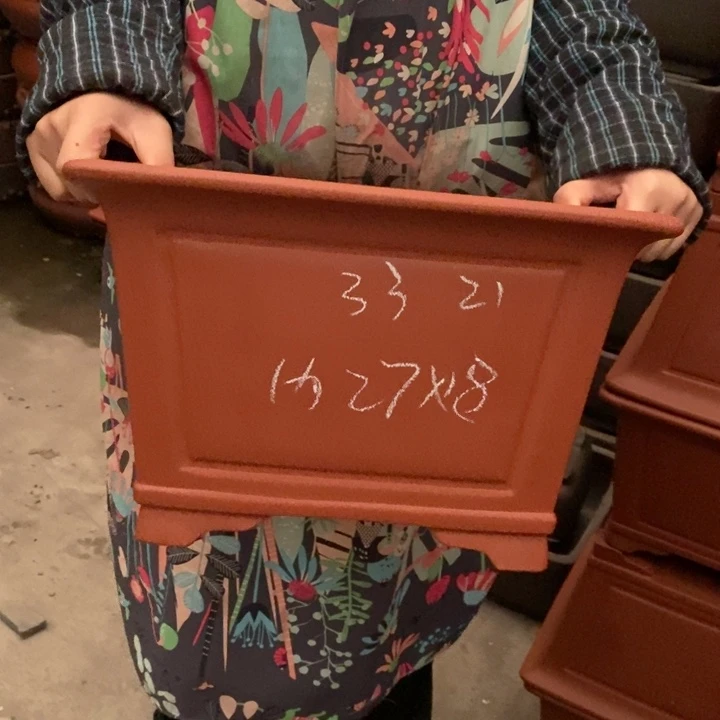 花盆紫砂只顾看手机的日子