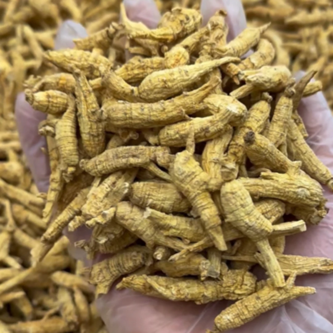 【阿丽精选山货】花旗参 可搭配枸杞煮水