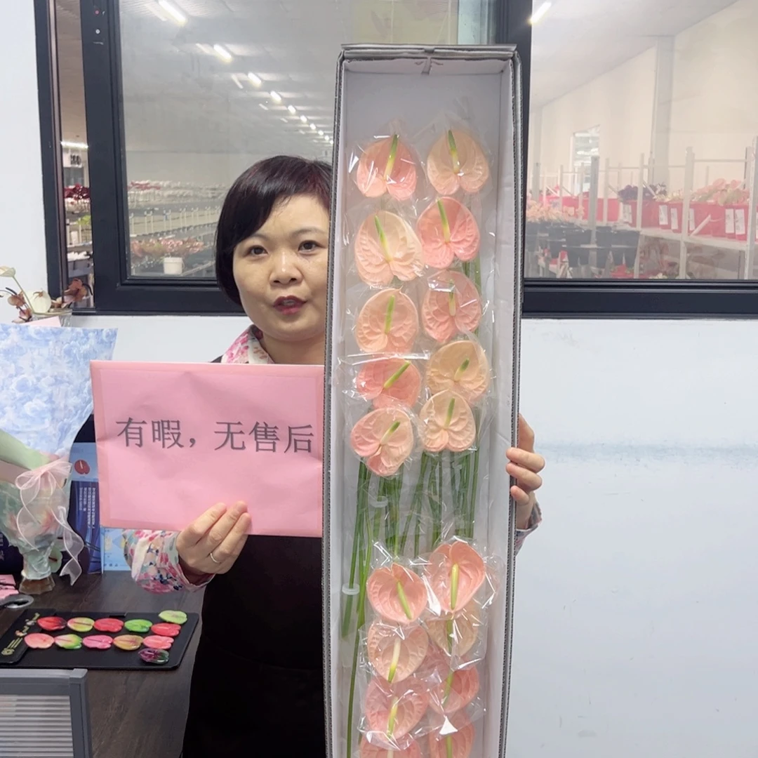 完全开放干杯-20枝装无售后款