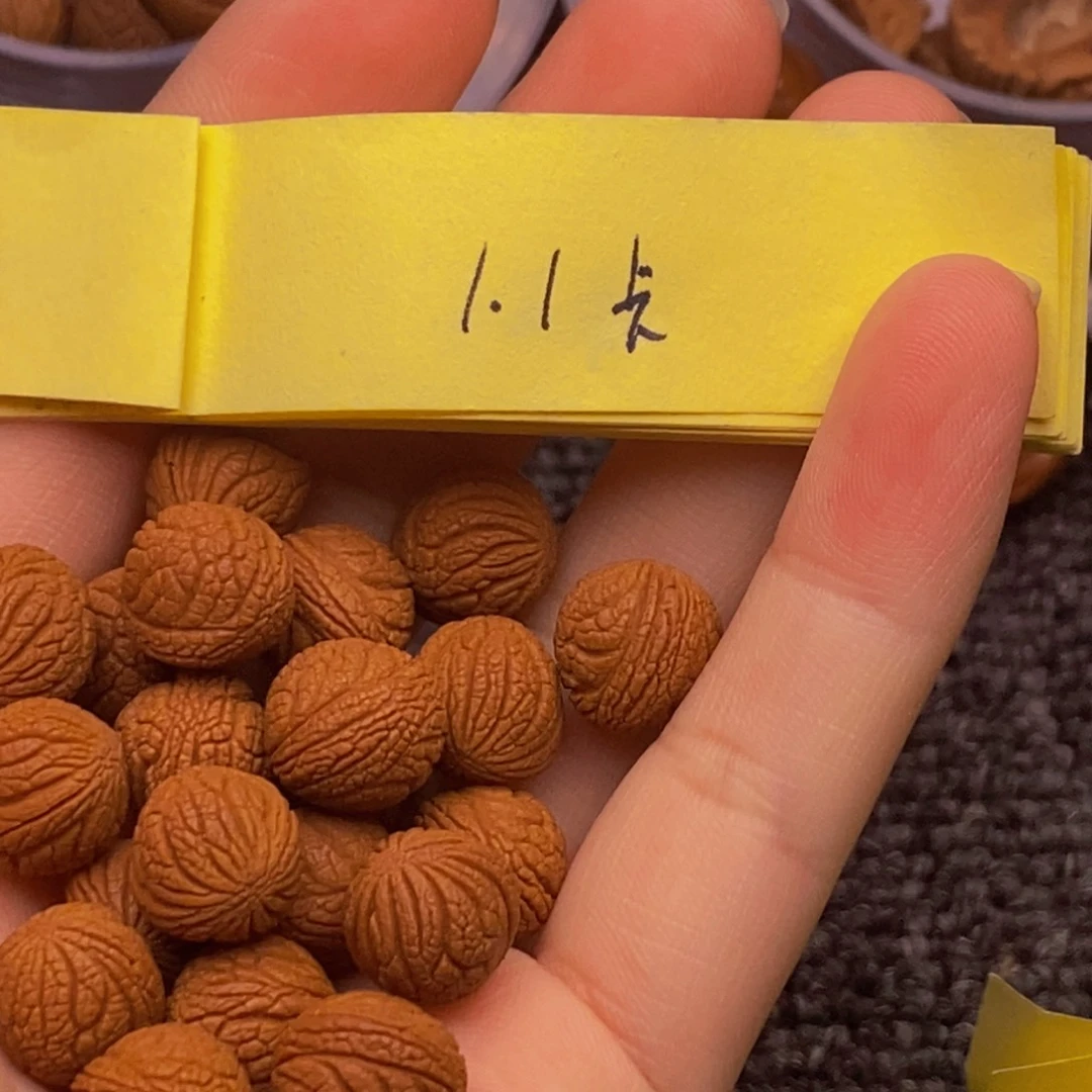 秦岭山脉龙纹桃核 21