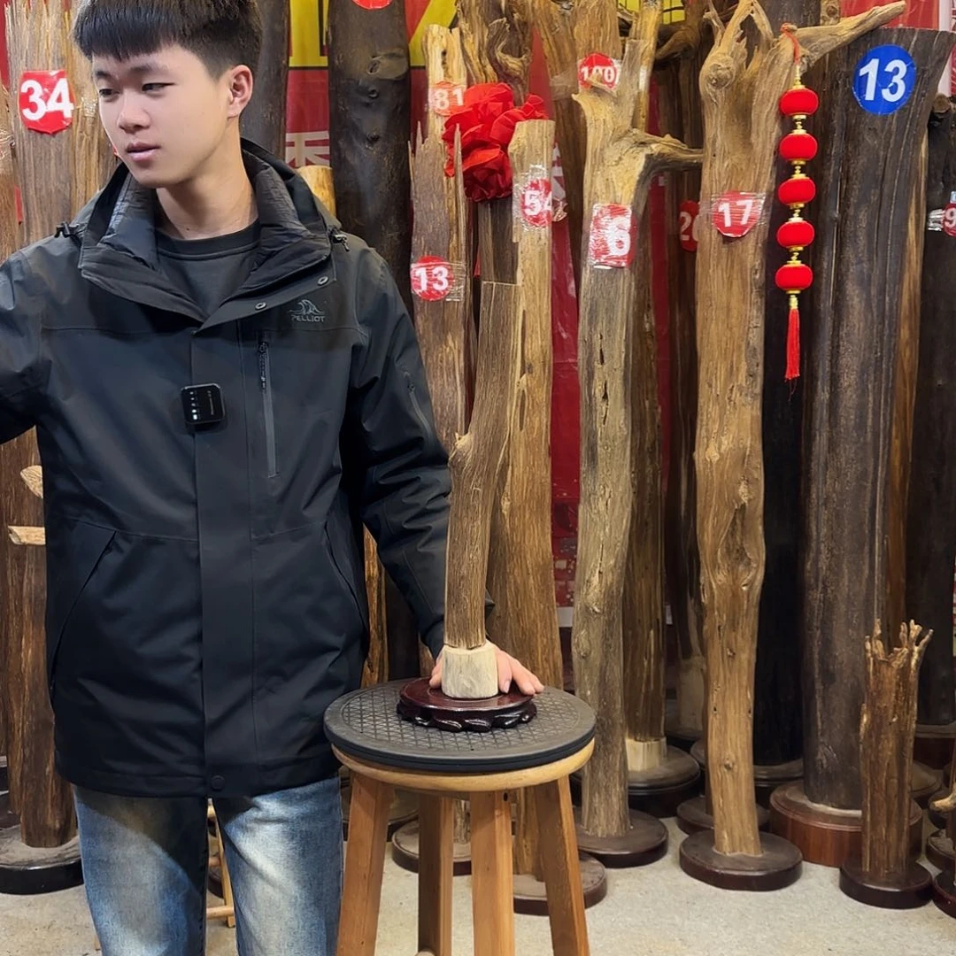 沉香摆件海南沉香