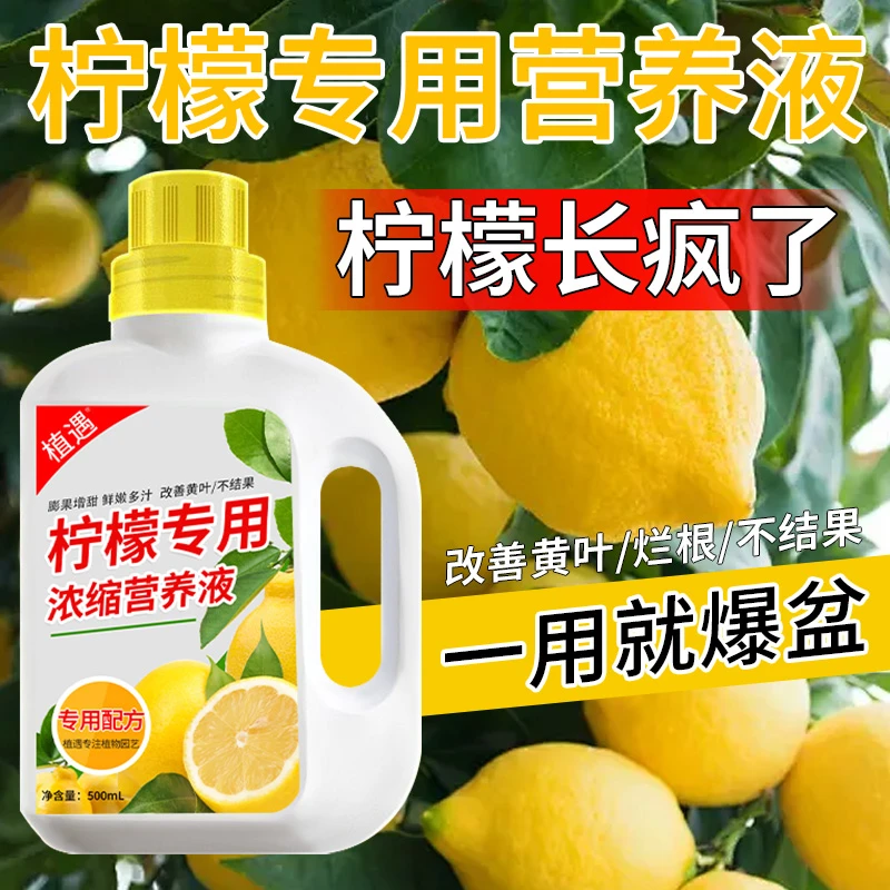 【柠檬树专用营养液】肥料专用肥青柠檬盆栽液体肥促果生根绿叶水溶
