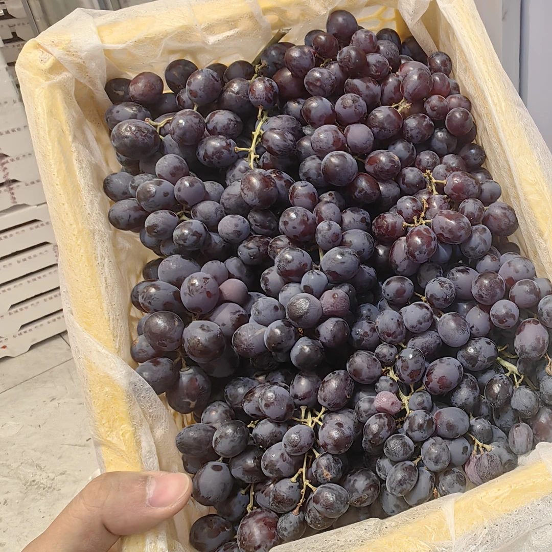 新疆无核籽纯甜（4.5斤左右）