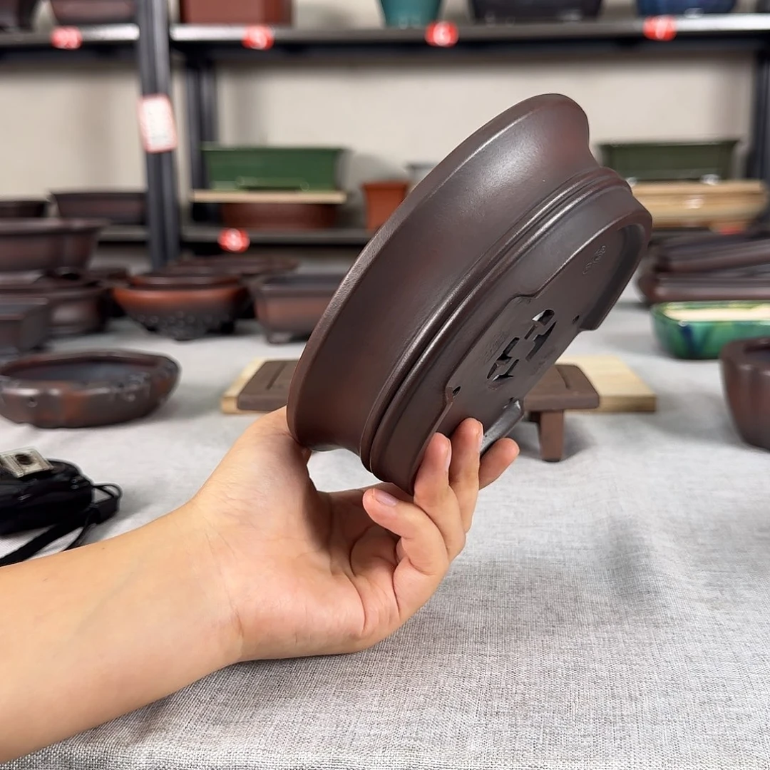 白***家紫砂花盆哈哈哈哈哈哈