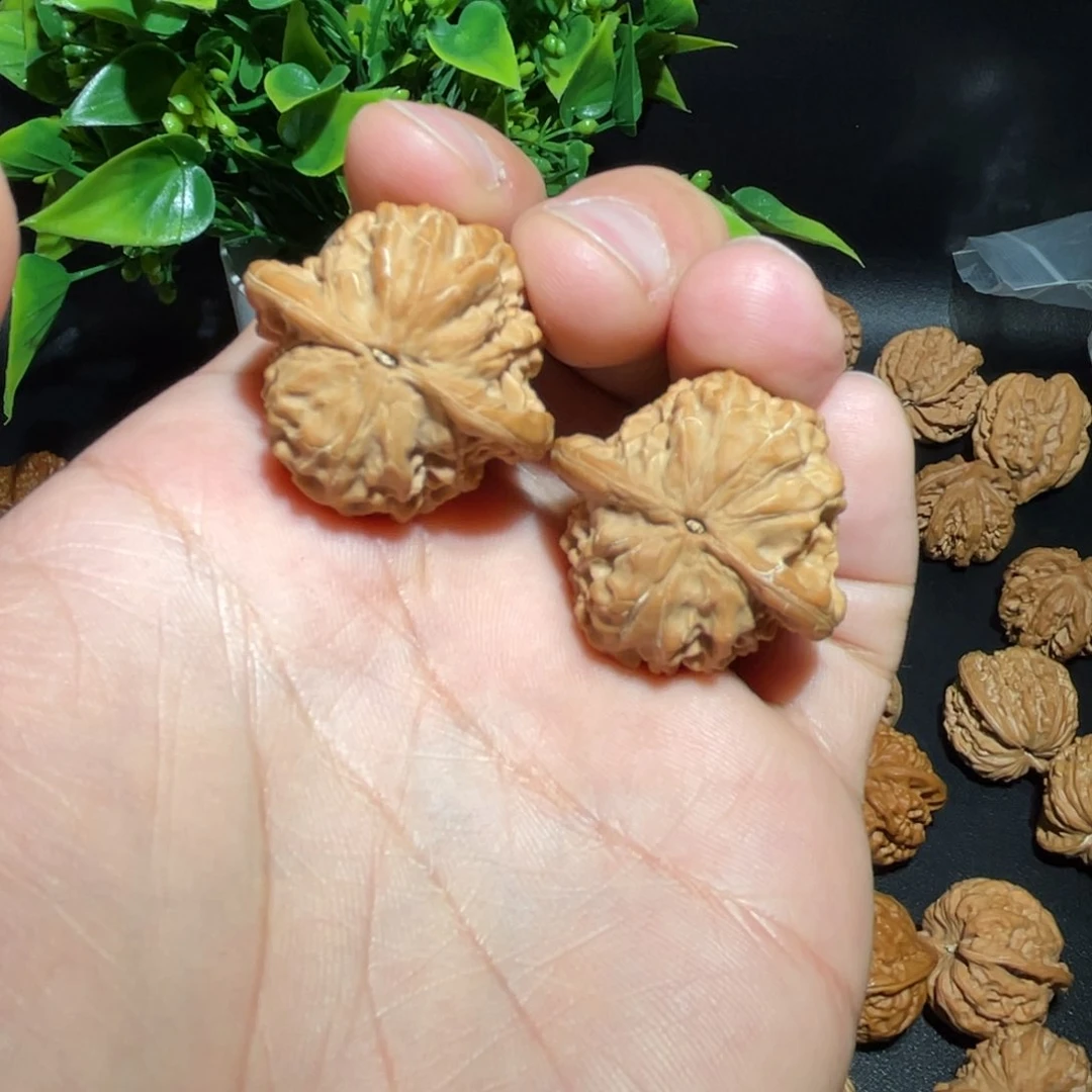 文玩核桃把件凯**鱼33核王