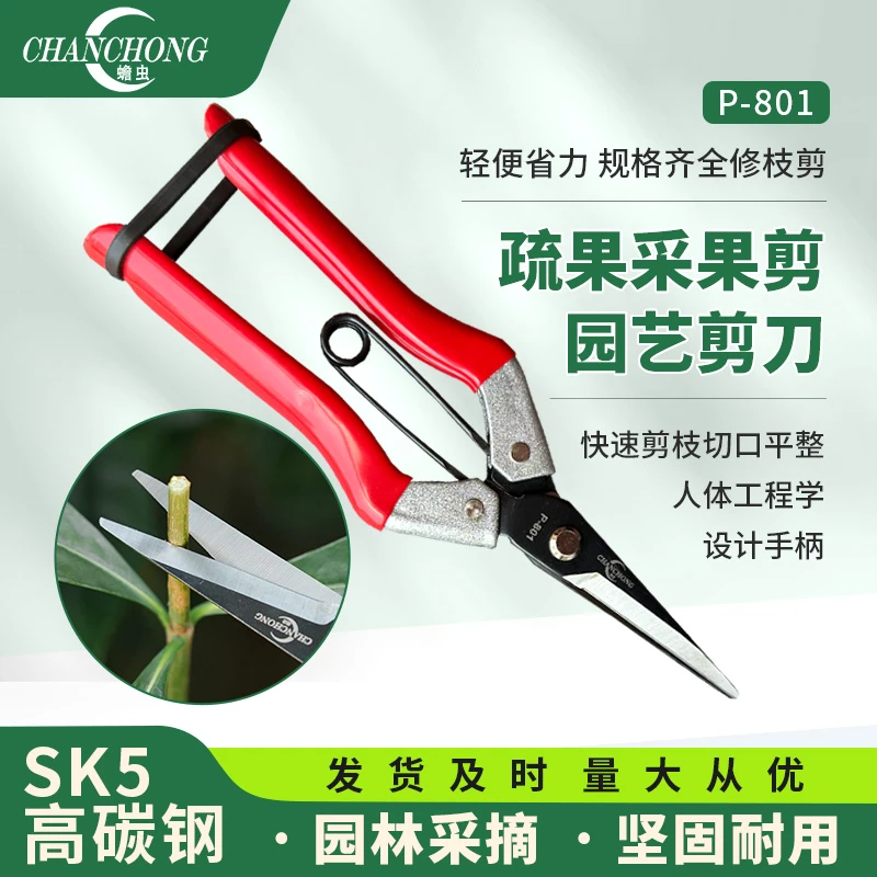 蟾虫801园艺剪刀修枝剪树枝摘果蔬果盆景专用工具叶芽花椒修花