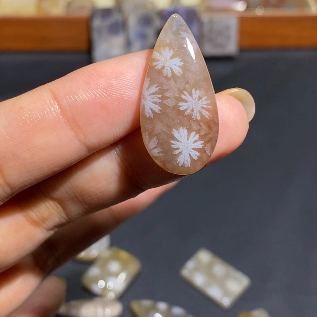 【闪购商品】未镶嵌珊瑚玉硅化玉