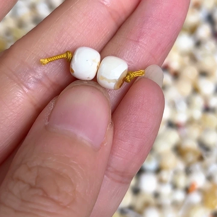 未镶嵌蜜蜡裸石6.9mm一对