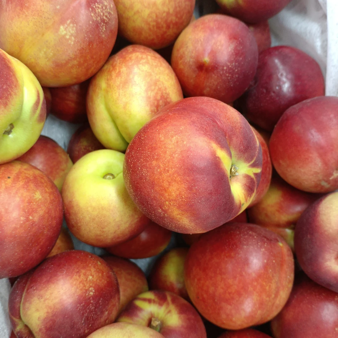 珍珠枣油桃一斤500g山东桃子同城送山东省