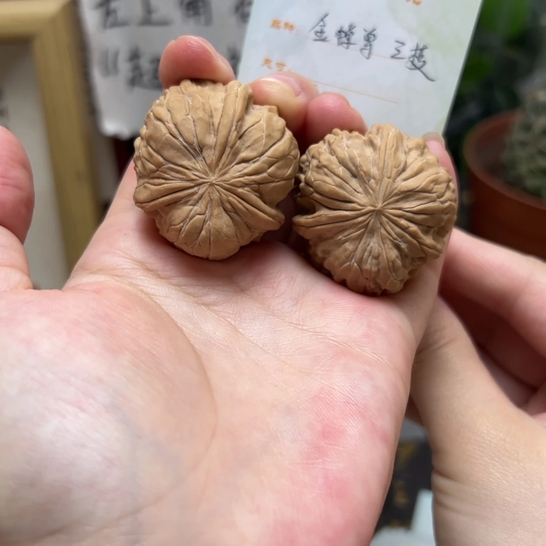 文玩核桃把件金蟾尊三棱