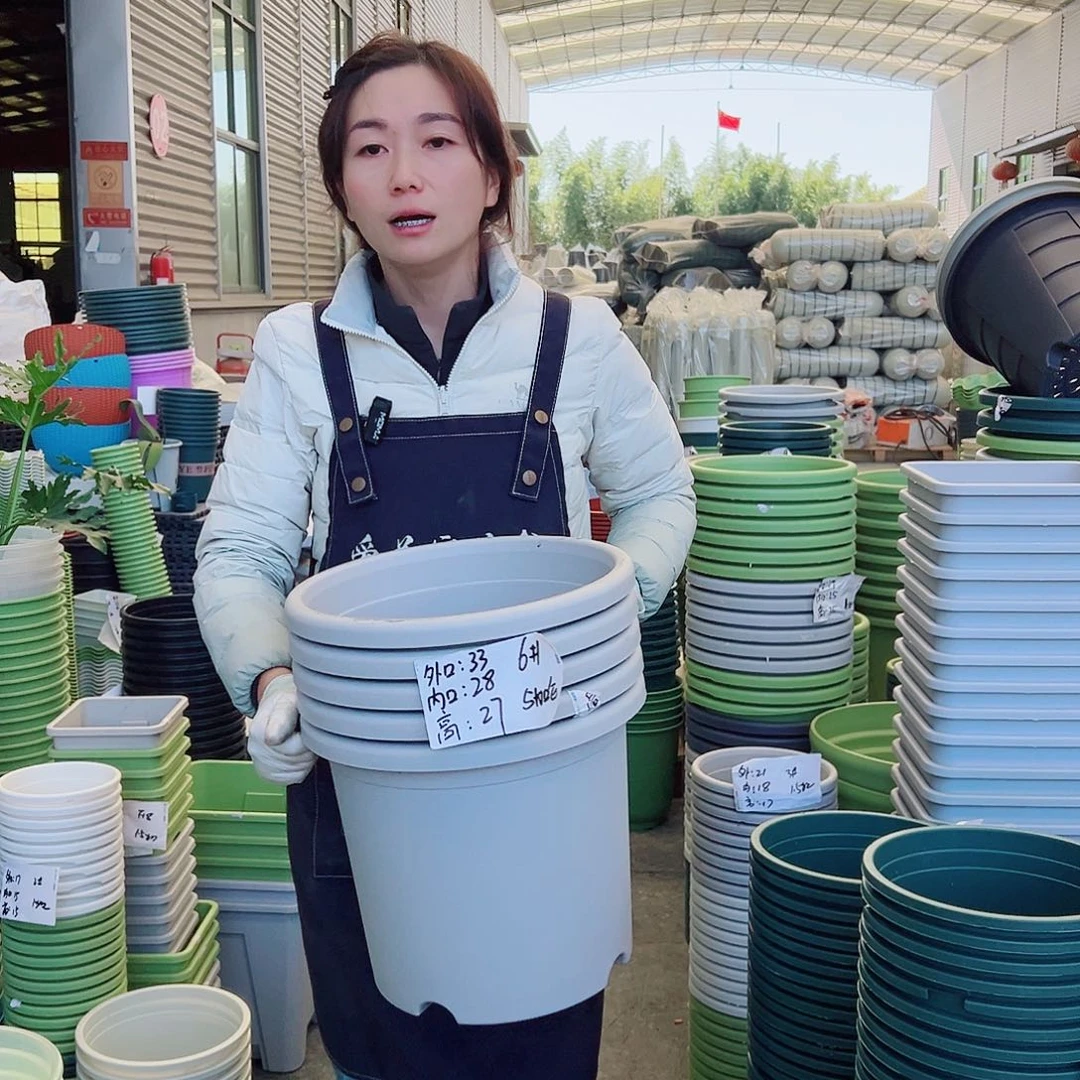 四季盆6#灰白5个无托