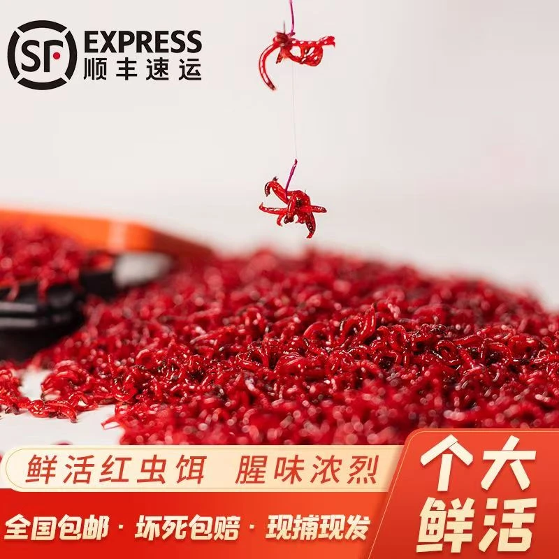 精品手工筛选钓渔红虫饲料拉饵黑坑野钓垂钓六角龙精品打窝渔食