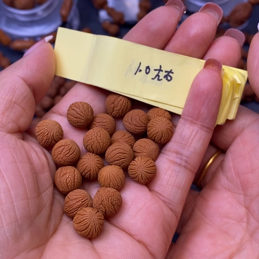 秦岭龙纹桃核21颗