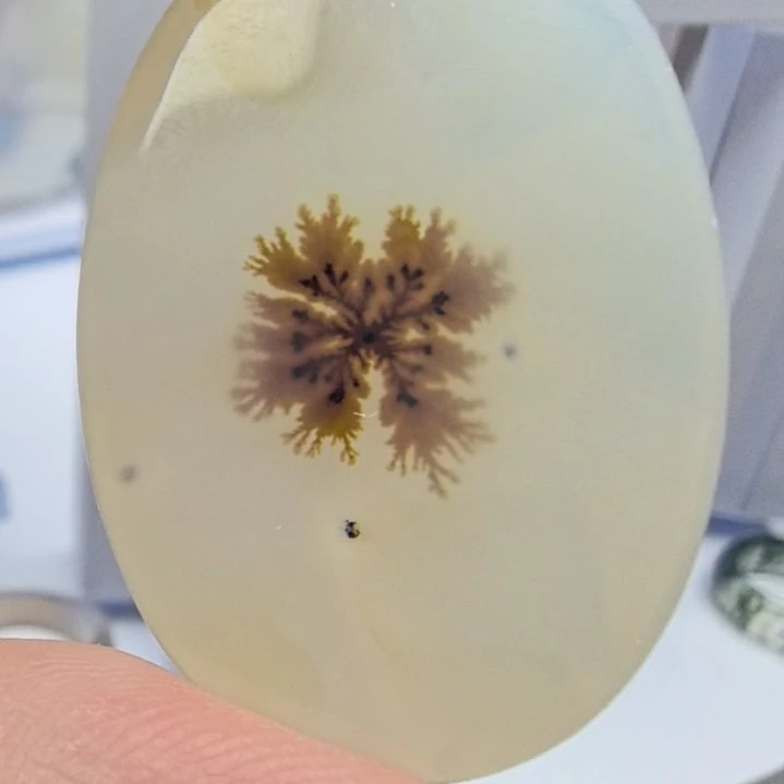 非金属时尚饰品61