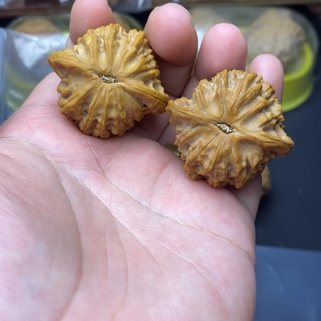 文玩核桃吊坠鲸*39乾隆磨