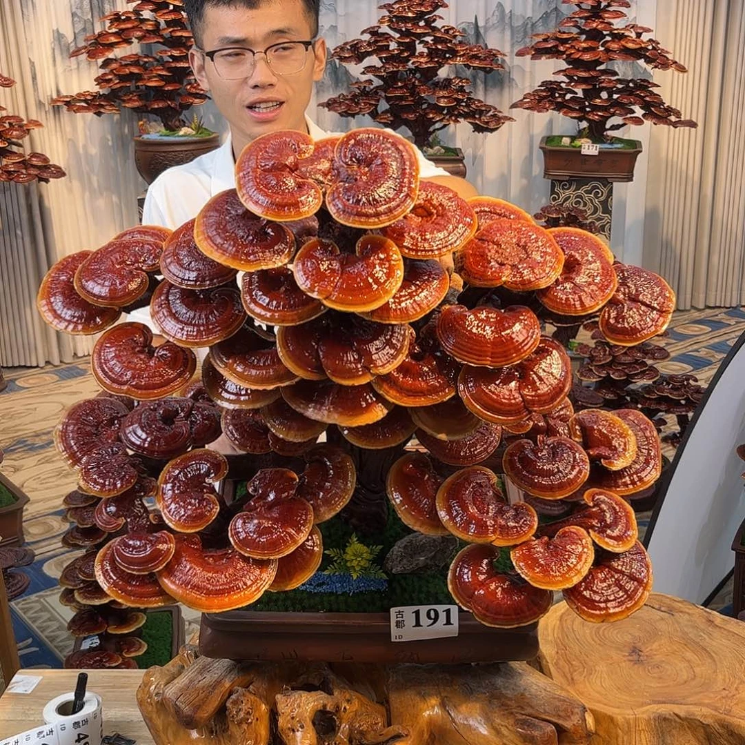 无花朵888888888888888