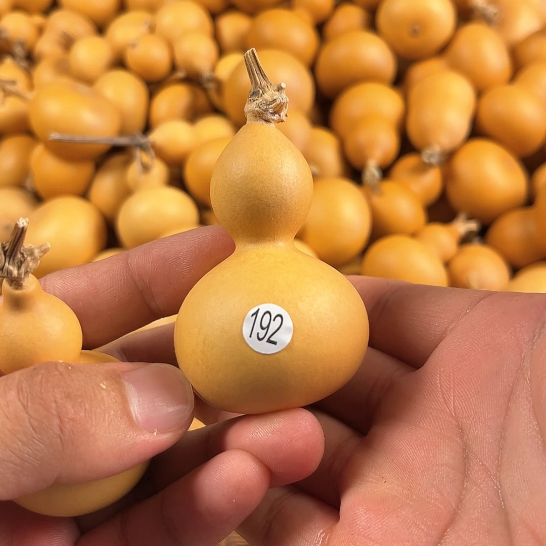 葫芦葫芦葫芦葫芦葫芦192