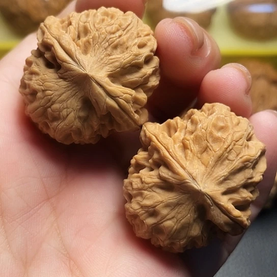 文玩核桃龙眼一对