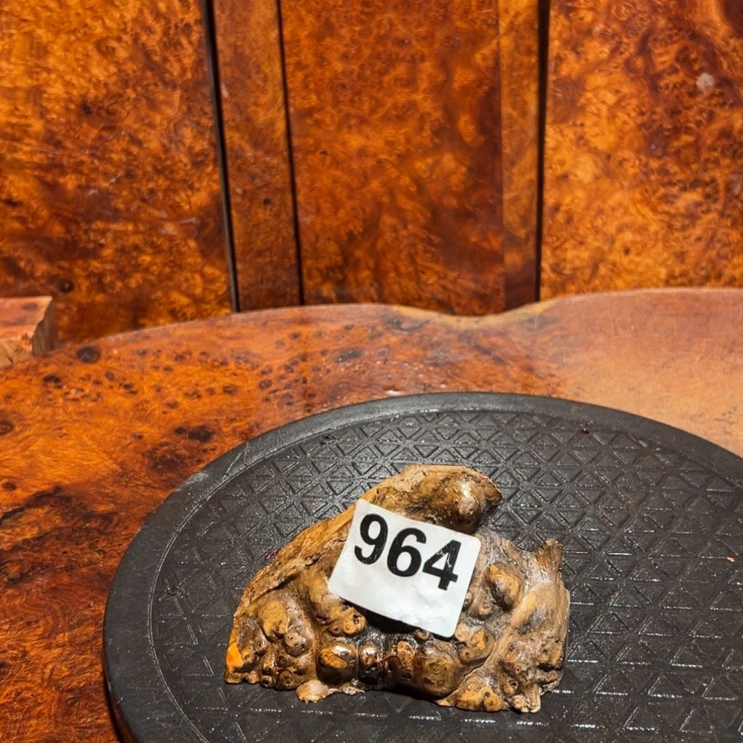 国***流大果紫檀（缅甸花梨）