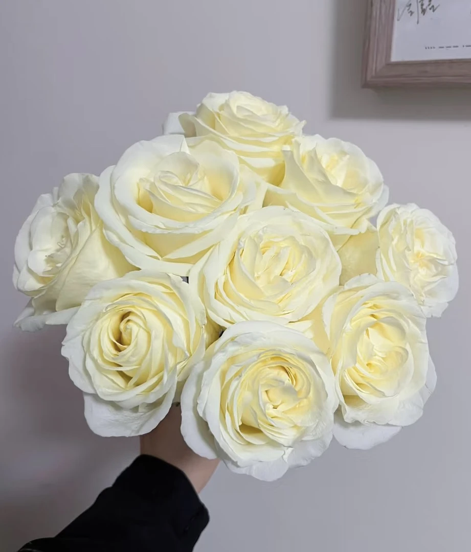 【北极光】花农直发，全场任意两单顺丰包邮，0度以下必拍保温棉！