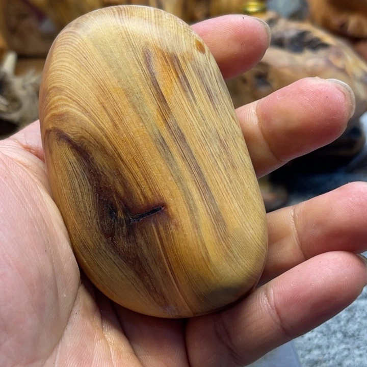 柏木（崖柏）崖柏106