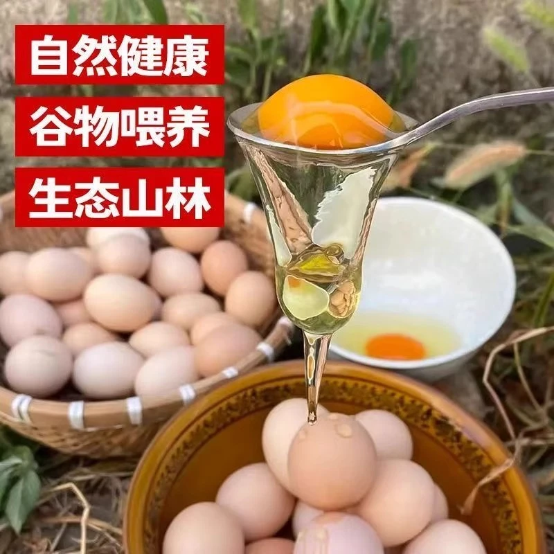 《50枚土鸡蛋》皖南九华山高山山林散养五谷土鸡蛋现捡现发