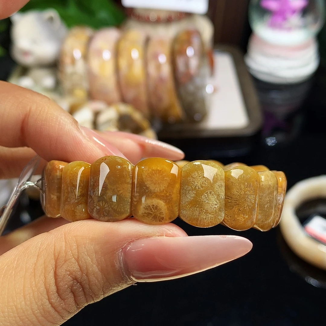 硅化珊瑚（珊瑚玉）未镶嵌吊坠(赠链)6号链接 折后57.8/条  蜜糖