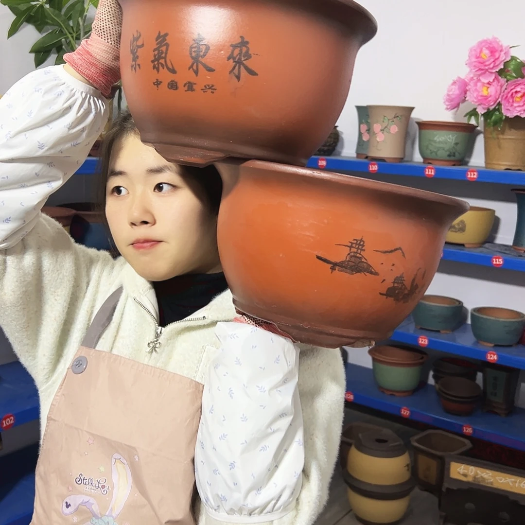 30+30紫气东来花盆花盆花盆