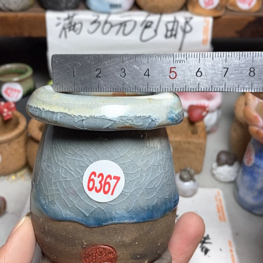 红陶拍5送一个小